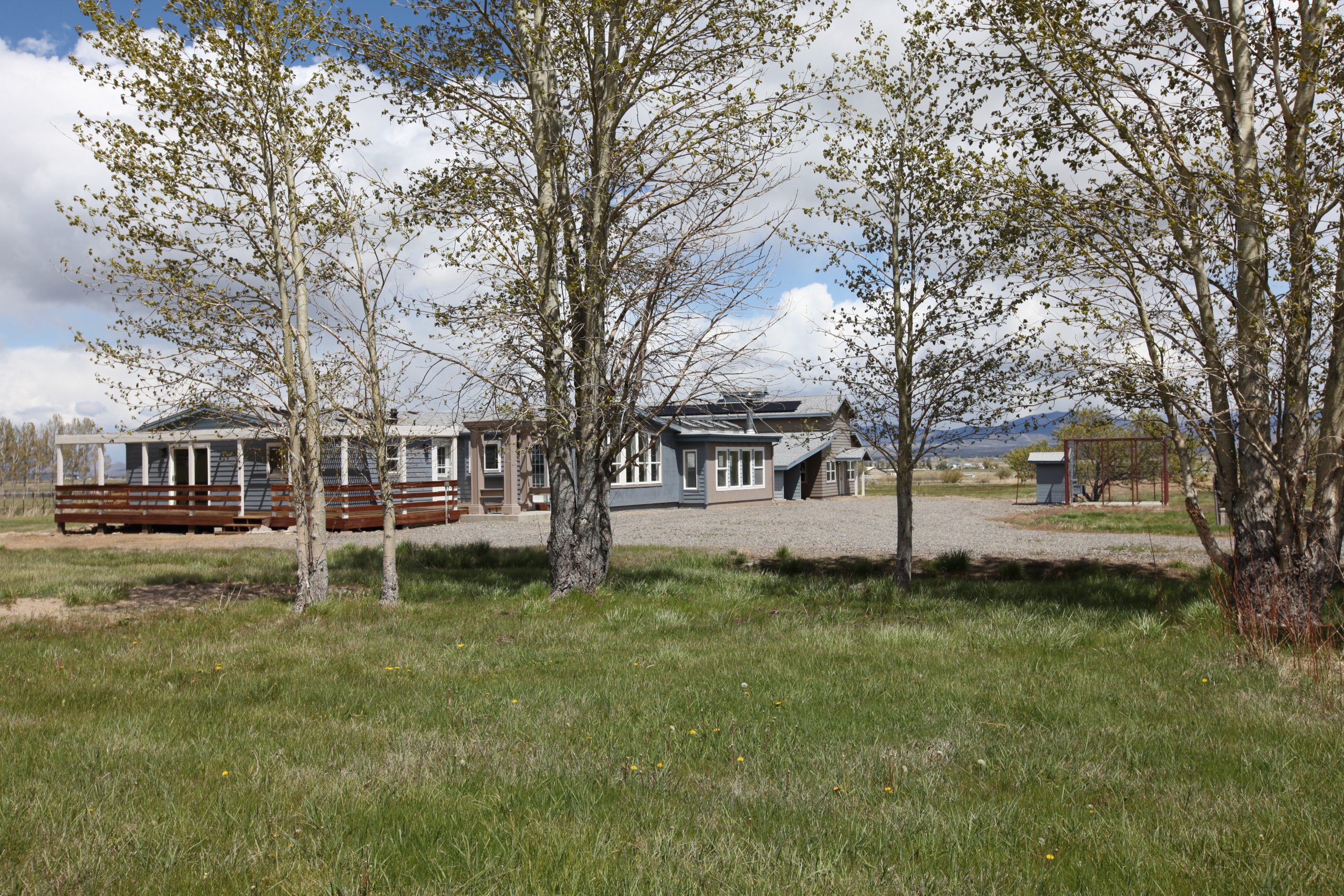 House nestled among trees with pasture in foreground